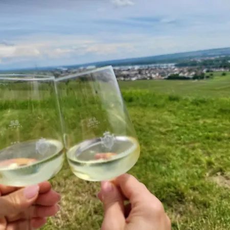 Kostera Babenhausen (Hessen)