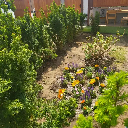 Kostera Babenhausen (Hessen)