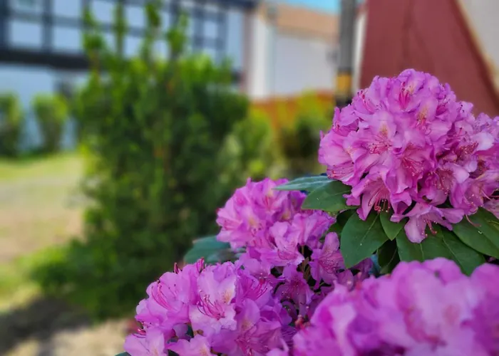 Διαμέρισμα Kostera