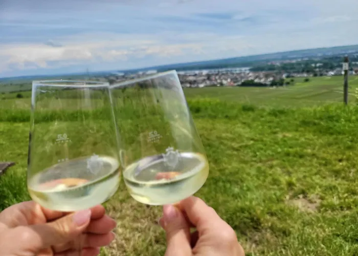 Kostera Babenhausen (Hessen)