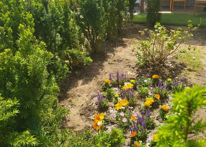 Kostera Babenhausen (Hessen)