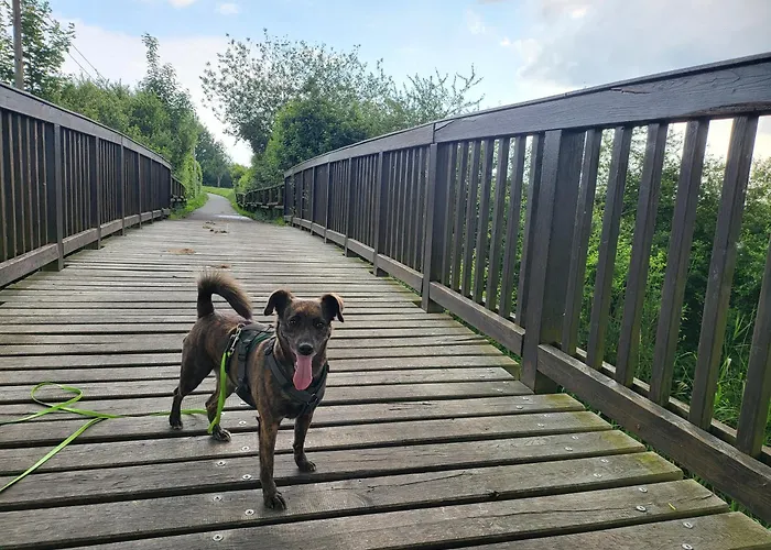 Διαμέρισμα Kostera